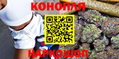 бошки Камышлов