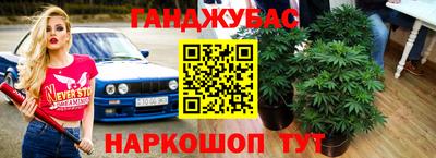 бошки Камышлов