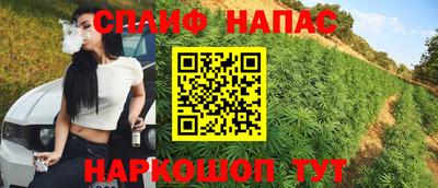 ГАЛЛЮЦИНОГЕННЫЕ ГРИБЫ Кандалакша