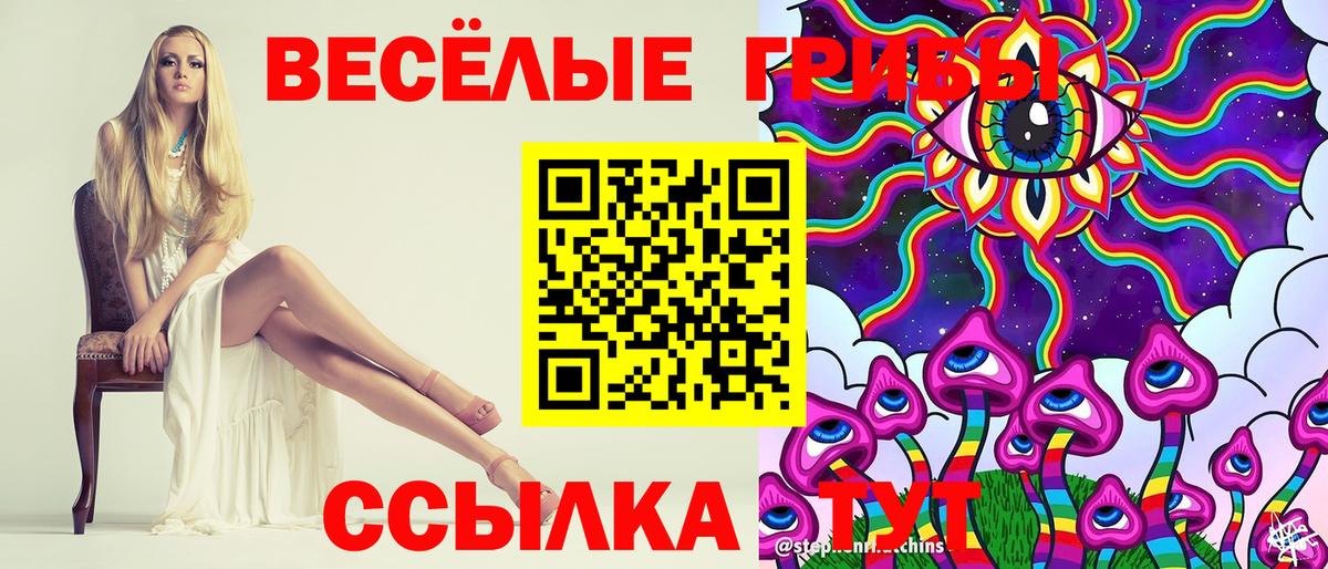 Галлюциногенные грибы мицелий Курчатов