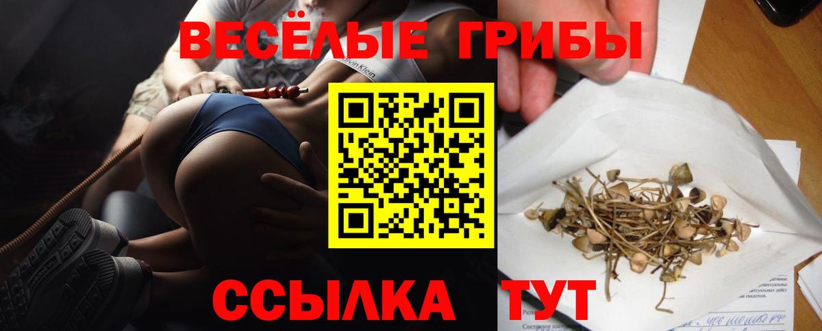 сколько стоит  Псилоцибиновые грибы MAGIC MUSHROOMS  Вход с VPN  Курчатов 