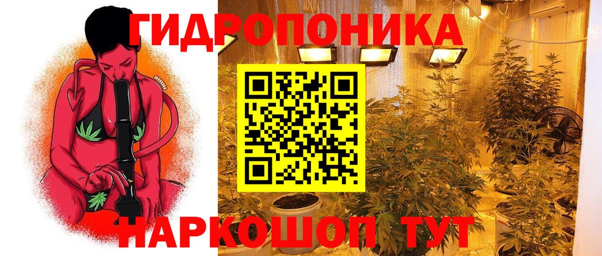 Канабис White Widow Курчатов